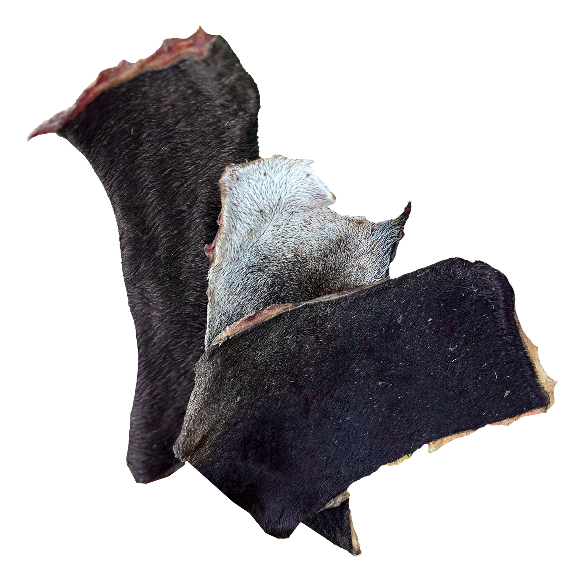 Cueritos_Res_3und_PC